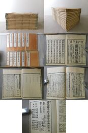 碧巌集種電鈔 10巻12冊揃