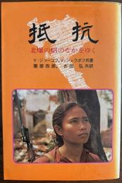 抵抗 : 北爆の焔のなかをゆく