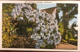 絵葉書　927:-Wistaria Cottage, California