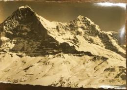 絵葉書　5310 Kleine Scheidegg  Eiger und Mönch