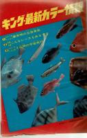 週刊少年キング 1971年 No.25 6月13日号