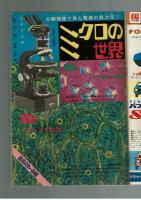 週刊少年キング 1970年#25 菊村到×旭丘光志「混血ジョー」初回