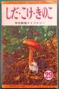 しだ・こけ・きのこ