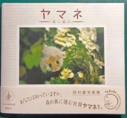 ヤマネ : 森に遊ぶ 西村豊写真集
