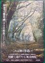 神業の風景画 : ホキ美術館コレクション