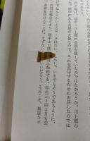 まぼろしの帰雲城