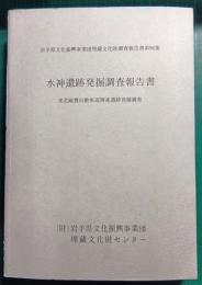 水神遺跡発掘調査報告書 : 東北縦貫自動車道関連遺跡発掘調査