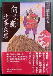 向う疵北条氏康