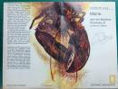 National Geographic Close-up : U.S.A. Maine with the Maritime Provinces of Close-up : Canada