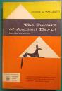 The Culture of Ancient Egypt