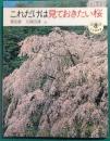 これだけは見ておきたい桜