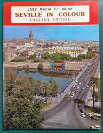 Seville in Colour : English Edition