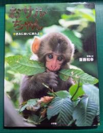 おサルちゃん : きみに会いに来たよ