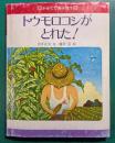 トウモロコシがとれた!