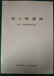 尾ケ崎遺跡　縄文・古墳時代集落跡の調査