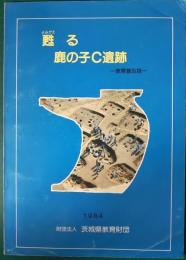 甦る鹿の子C遺跡　教育普及版