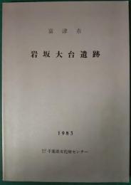 富津市岩坂大台遺跡 : 内房道路建設に伴う埋蔵文化財調査報告書