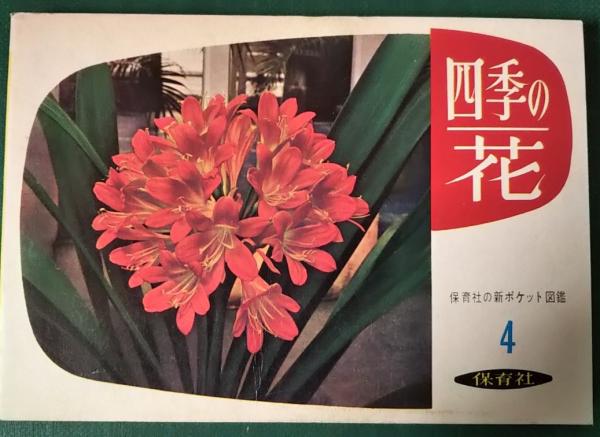 四季の花 科学技術教育研究所編 山吹書房 古本 中古本 古書籍の通販は 日本の古本屋 日本の古本屋