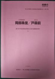 岡部条里/戸森前　福川河川改修関係埋蔵文化財発掘調査報告2