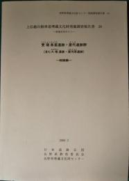 更埴条里遺跡・屋代遺跡群（含む大境遺跡・窪河原遺跡）　総論編　上信越自動車道埋蔵文化財発掘調査報告書28-更埴市内その7-