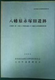 八幡原赤塚3遺跡 : 三栄商事(株)工場および事務所建設に伴う埋蔵文化財発掘調査報告書