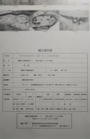 埋蔵文化財調査報告　12　平成8年度