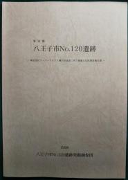 東京都八王子市NO.120遺跡 : 株式会社スーパーアルプス横川店建設に伴う埋蔵文化財発掘調査報告書