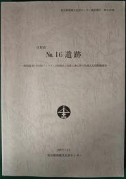 日野市　No.16遺跡　一般国道20号日野バイパス（日野地区）改築工事に伴う埋蔵文化財発掘調査