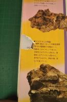 大恐竜展 : 失われた生物たち : ソ連科学アカデミーコレクション