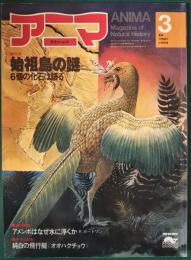 アニマ　No.84　1980年3月号　特集：始祖鳥の謎