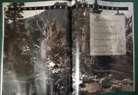 Nevada : Travel Weekly Vol.52 No.1 January 7 1993