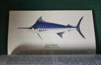 Fishing Texas : An Angler's Guide