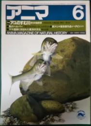 アニマ　1984年6月号　通巻136号