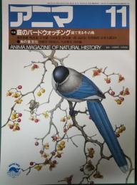 アニマ　1984年11月号　通巻141号