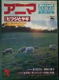 アニマ　1979年1月号　通巻70号