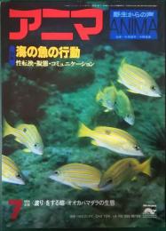 アニマ　1979年7月号　通巻76号