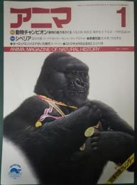 アニマ　1988年1月号　通巻184号