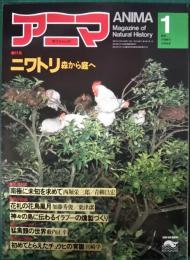 アニマ　1981年1月号　通巻94号