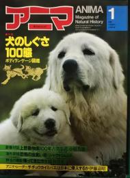 アニマ　1982年1月号　通巻106号