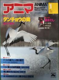 アニマ　1983年1月号　通巻119号