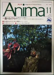 アニマ　1990年11月号　通巻218号