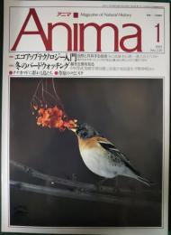 アニマ　1991年1月号　通巻220号