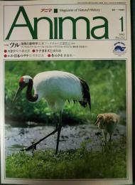 アニマ　1992年1月号　通巻232号