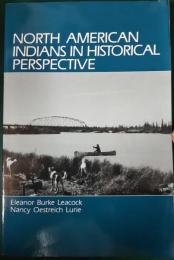 North American Indians in historical perspective
