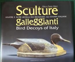 Sculture Galleggianti : Bird Decoys of Italy