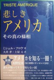 悲しきアメリカ : その真の様相