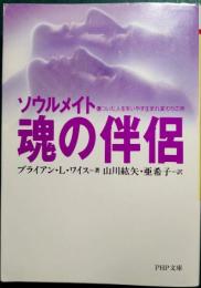 魂の伴侶-ソウルメイト : 傷ついた人生をいやす生まれ変わりの旅