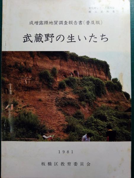増補　立地と環境　その地理的接近　渡辺利得　嵯峨野書院　古本　古書 増補 立地と環境 その地理的接近 渡辺利得 嵯峨野書院 古本 古書