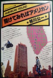 開けてみればアメリカン : 手ざわりのアメリカ論