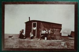 ポストカード　Home on the Range